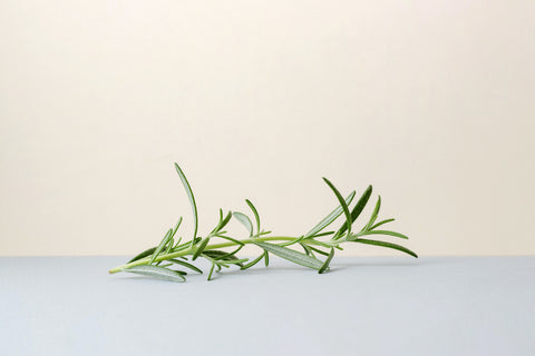 Rosemary oil is believed to possess anti-inflammatory properties.