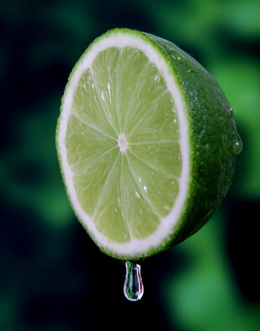 A bergamot orange fruit from which bergamot essential oil is extracted via cold press