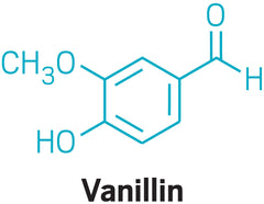 What is vanillin and where does it come from?