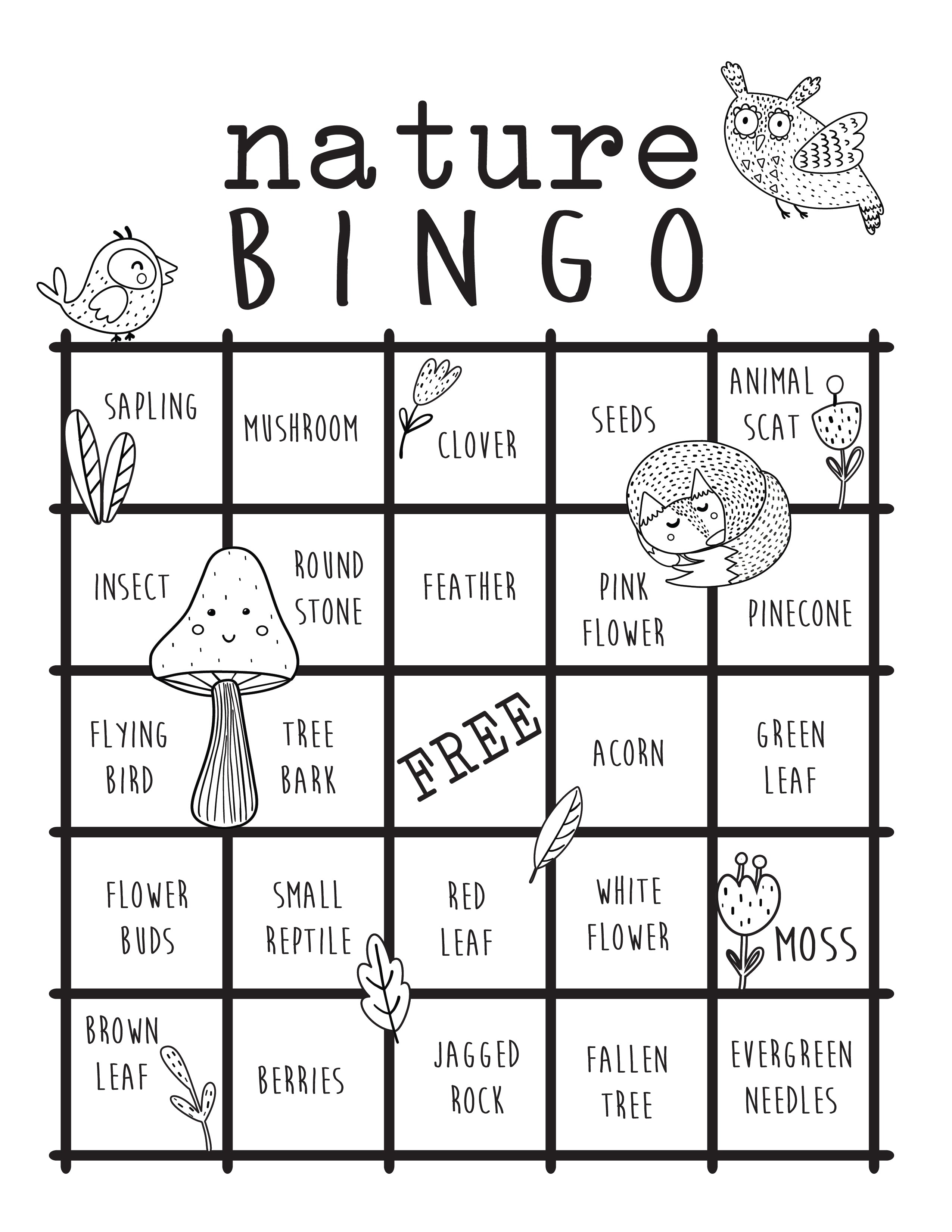 preschool nature bingo