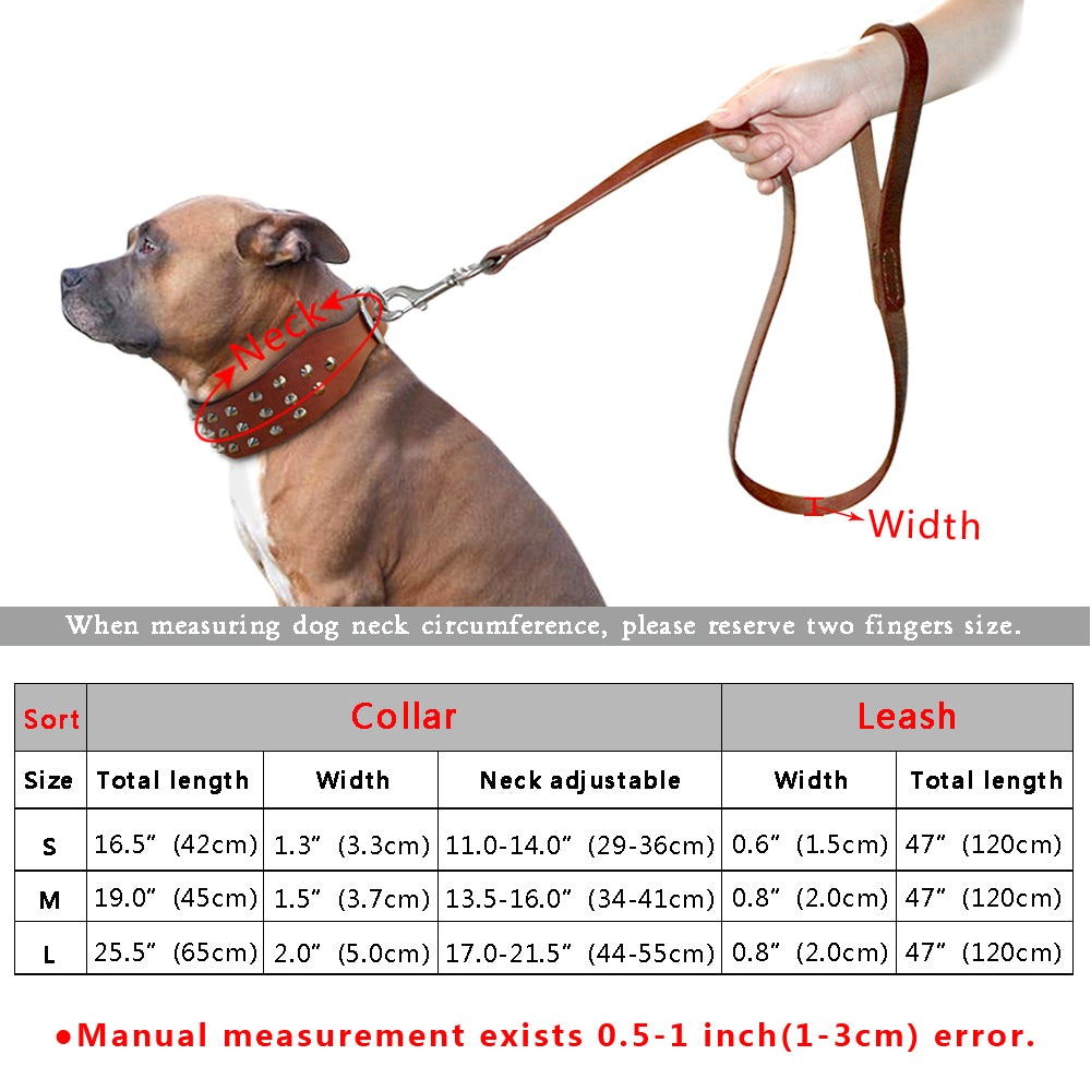 leather collar and leash set