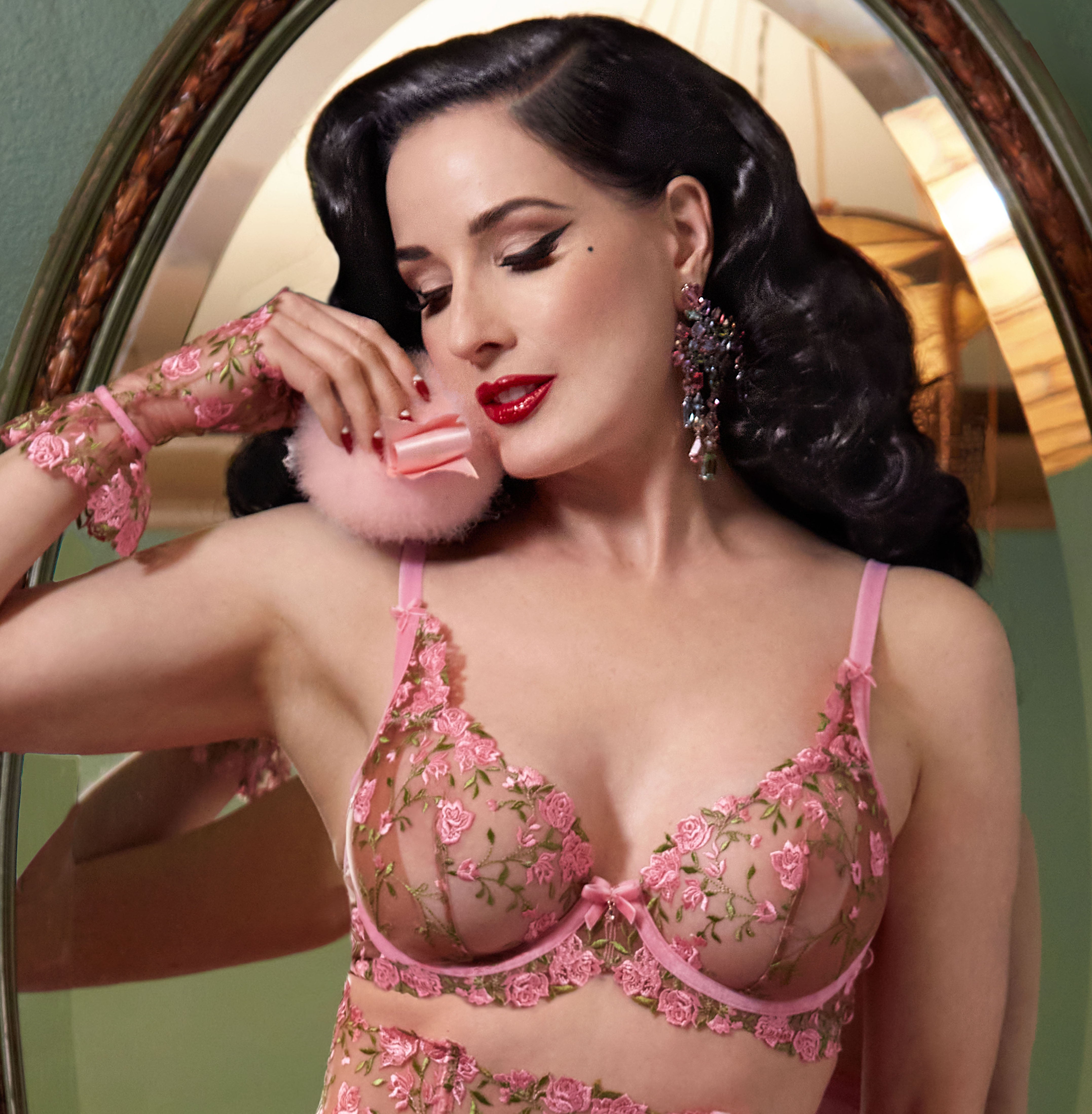 Rosewyn Plunge Bra By Dita Von Teese - 32B-36F + 38C-E