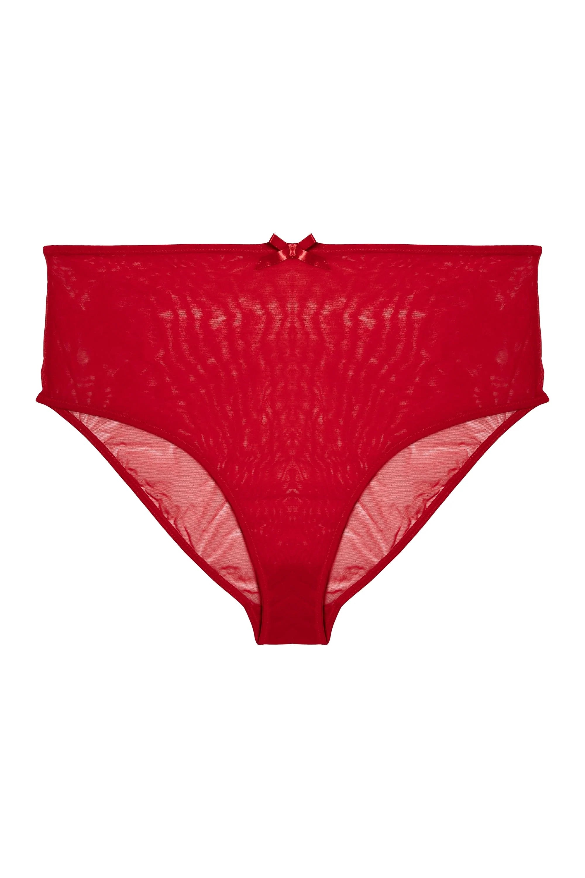 Elizabeth Lipstick Red Mesh Brief - sizes 8-18