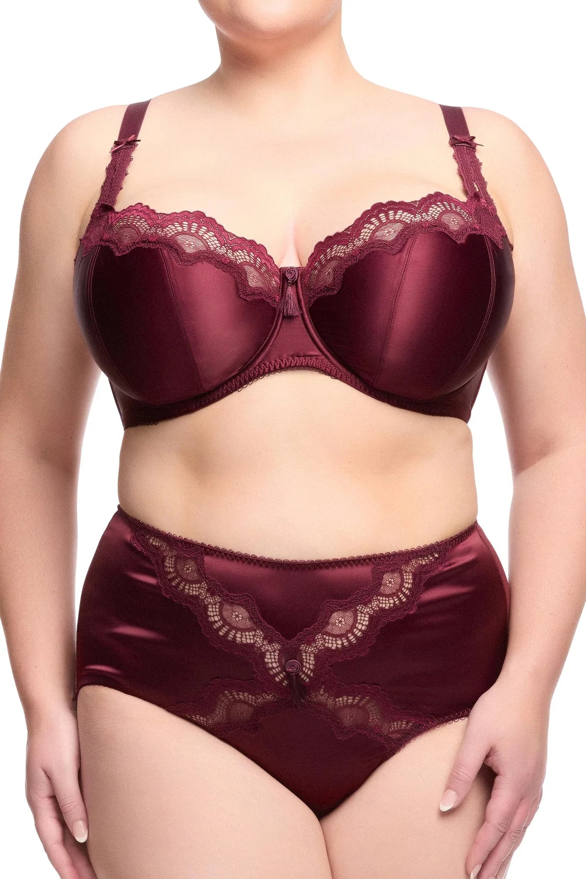 Star Lift Full Brief in Plum By Dita Von Teese - XL-3X