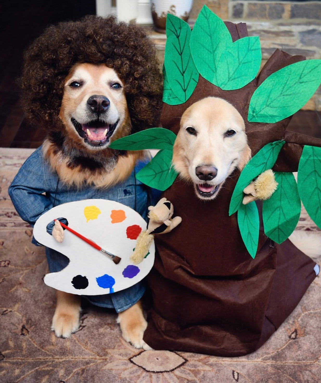 Five cute but spooky Halloween costumes for your dog - Kent Live