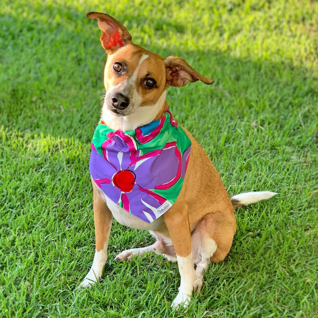 Boca Juniors Pet Bandana for Sale by Zoom