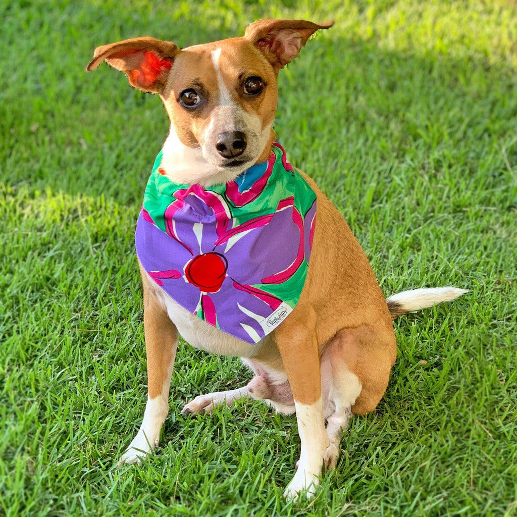 James Black - Roupas e Acessórios para PET - Bandana Pet marrom