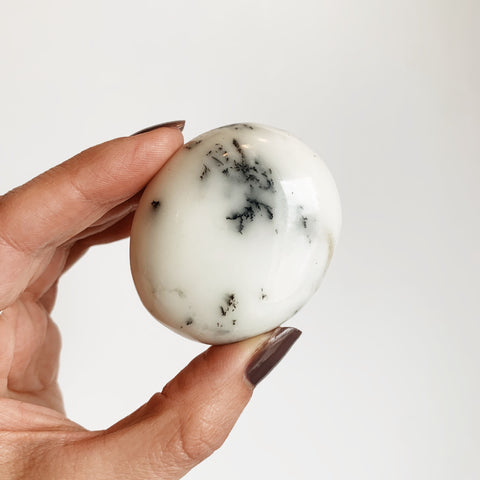 White Dendritic Agate Palm Stone