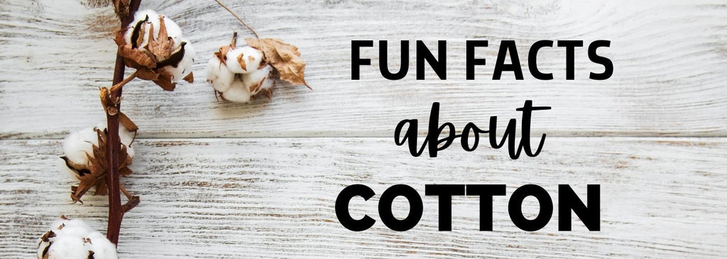 fun facts about cotton