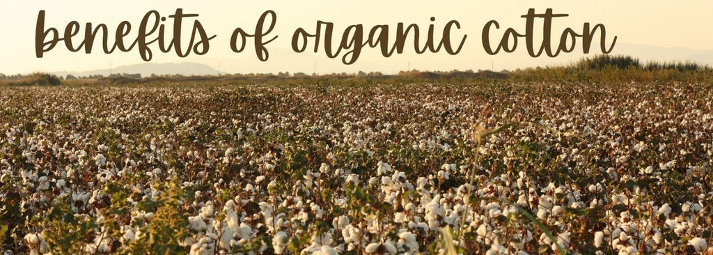 What are the benefits of organic cotton?