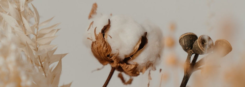 Cotton has many advantages