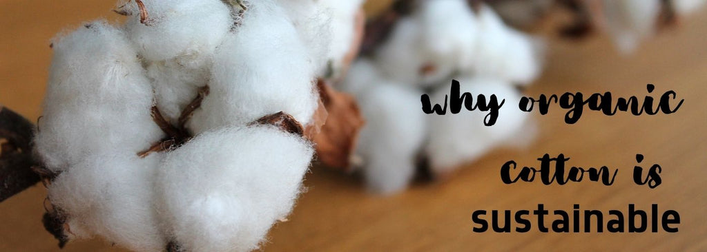 why organic cotton is sustainable