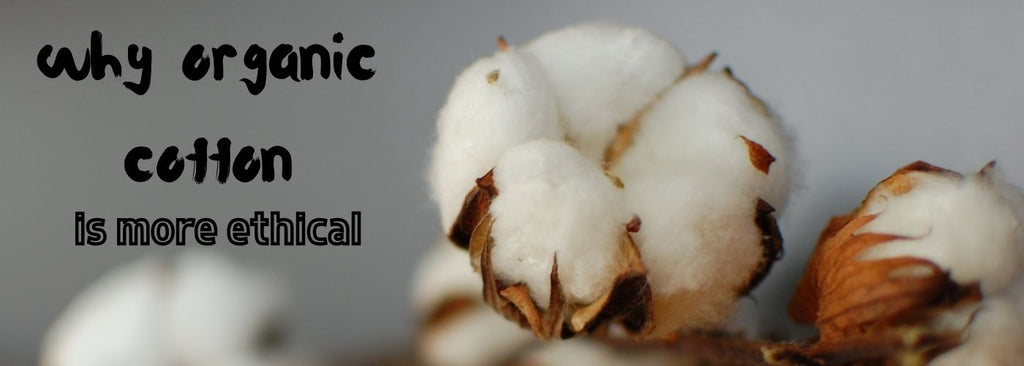 Organic Cotton vs. Regular Cotton: Why it's Better? - Cariki