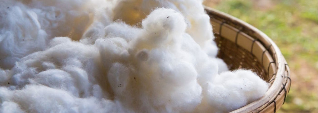 What is cotton? The characteristics and properties of cotton - Cariki