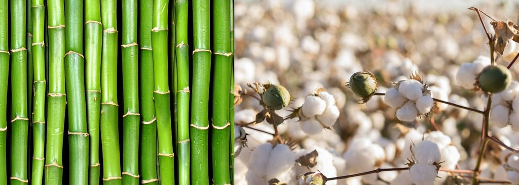 Is bamboo better than cotton? Bamboo vs Cotton 20 Facts