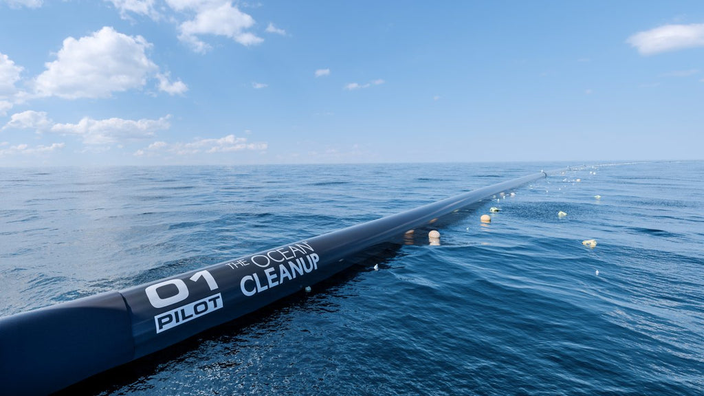 Ocean plastic cleanup project