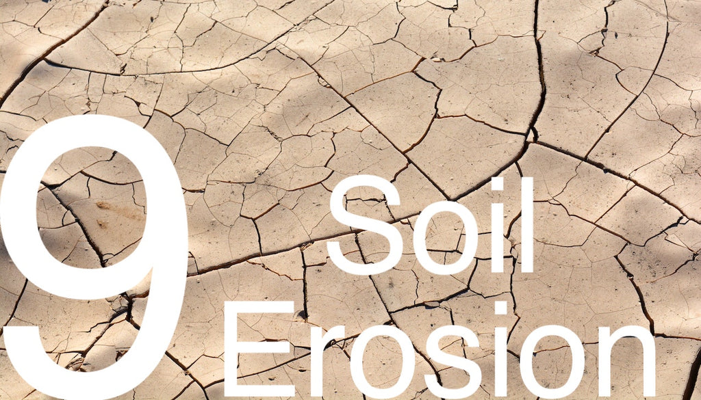 Soil-erosion-in-the-fashion-industry
