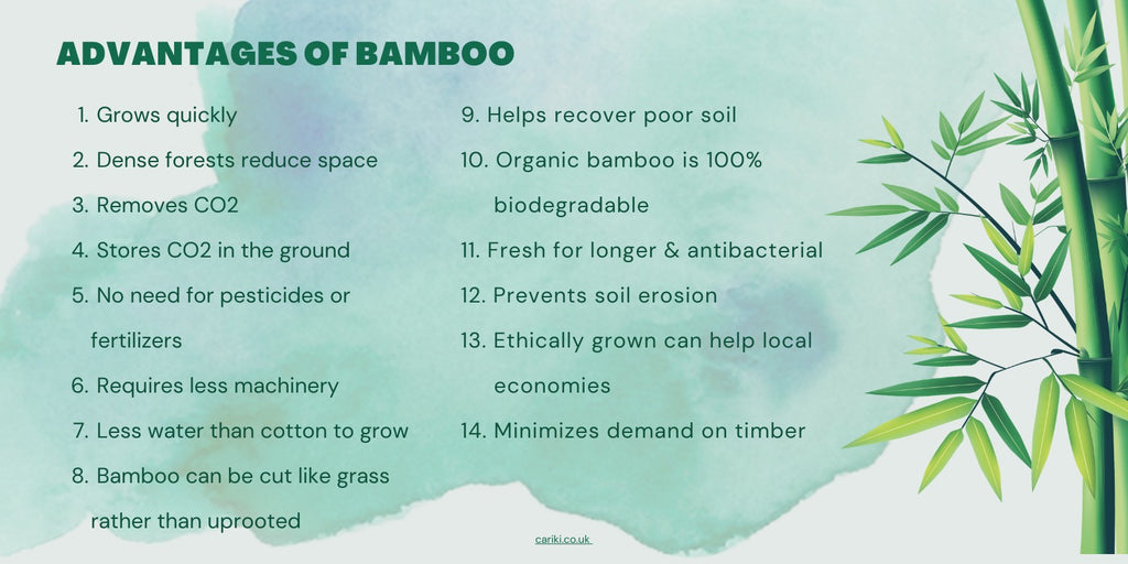bamboo sustainable ecofriendly advantages