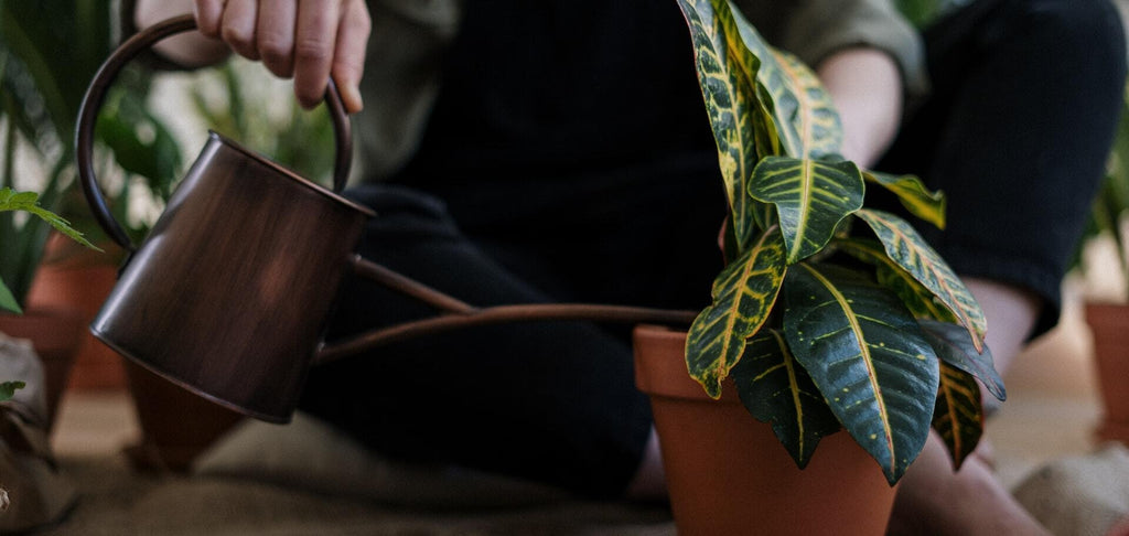 Water your apartment garden