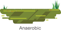 Anaerobic pond