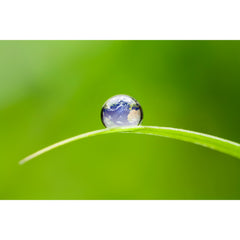 green leaf droplet earth