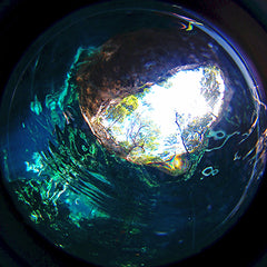 oxygenated pond thru fisheye lens