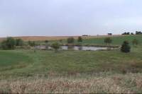 Rossi Ponds Farm one half acre farm pond in southeastern Wisconsin
