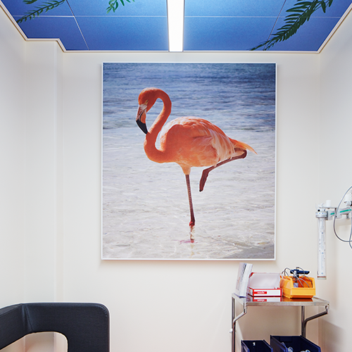 Image of flamingo on acoustic panel