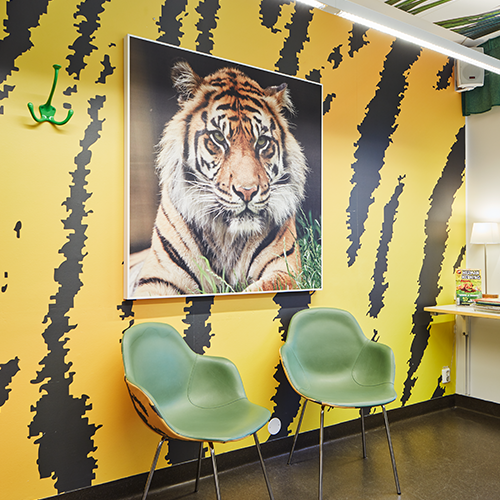 Image of tiger on acoustic panel in a waiting room