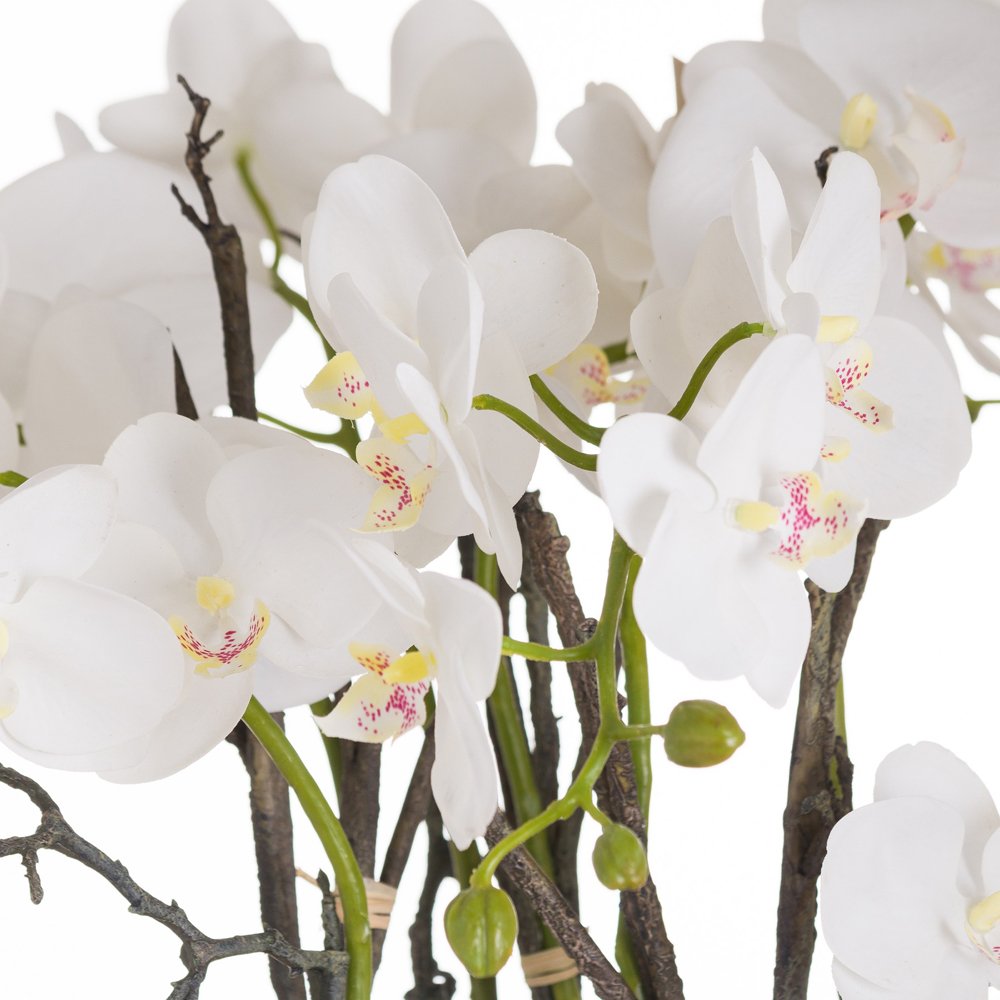 Product photograph of Hill Interiors Large Stone Potted Orchid With Roots from Olivia's.