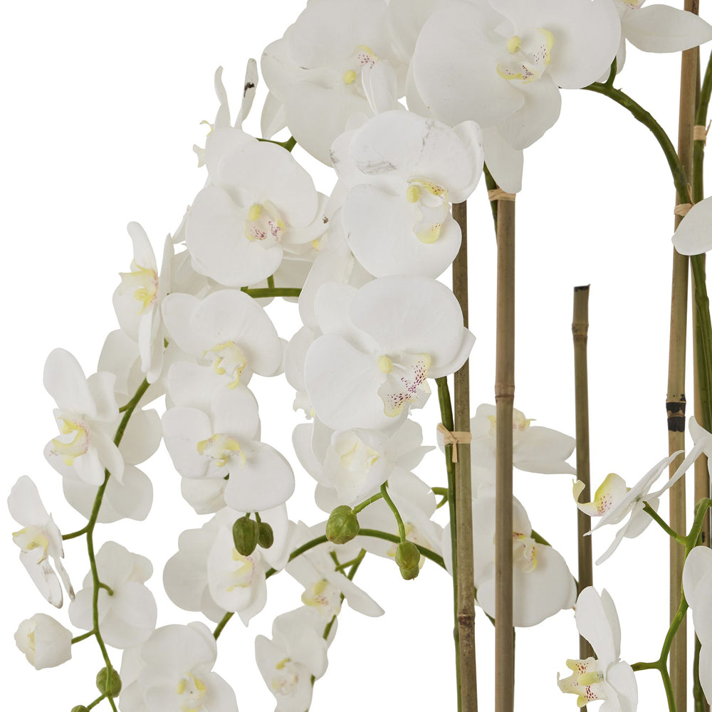 Product photograph of Hill Interiors Large White Orchid In Antique Stone Pot from Olivia's.