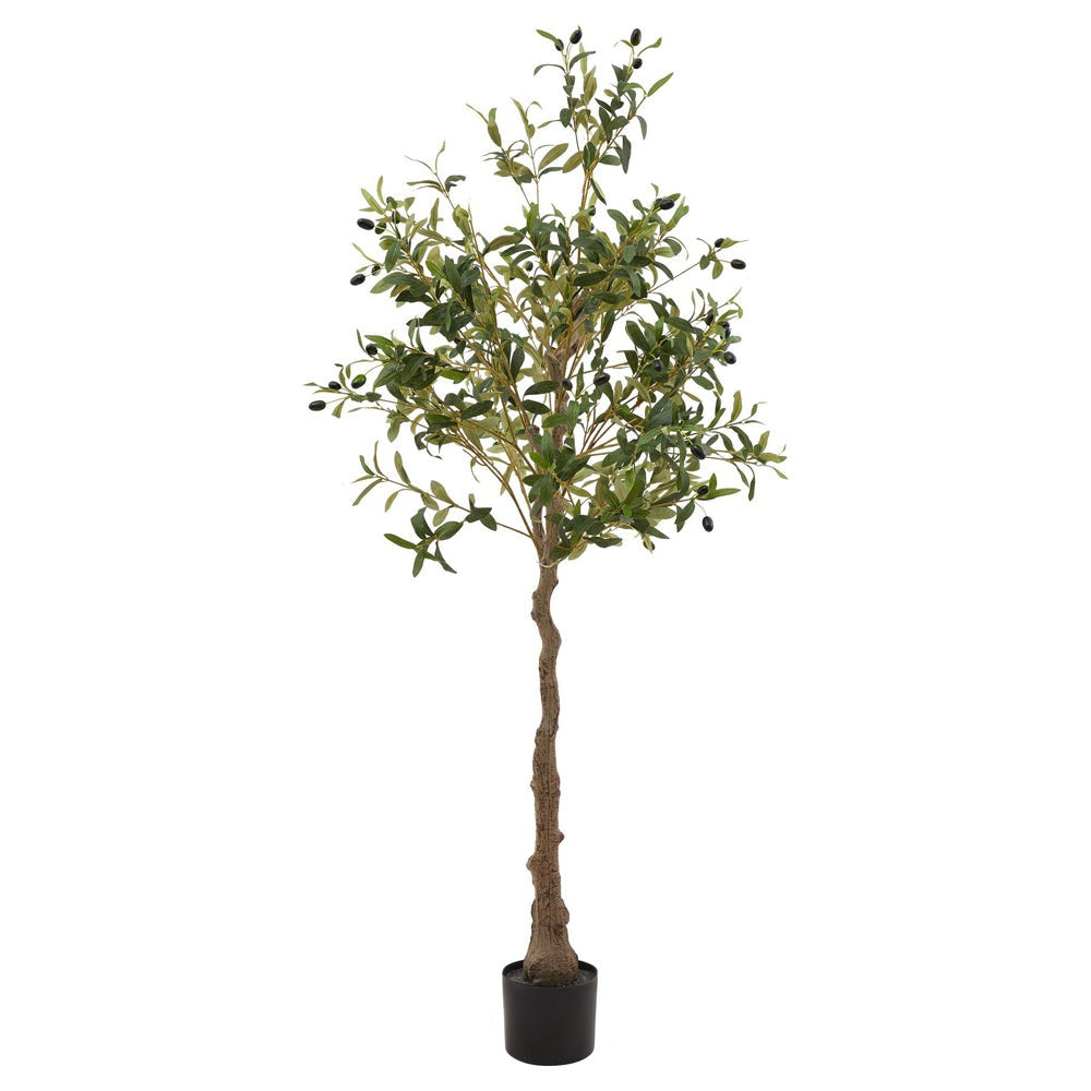 Product photograph of Hill Interiors Calabria Olive Tree from Olivia's