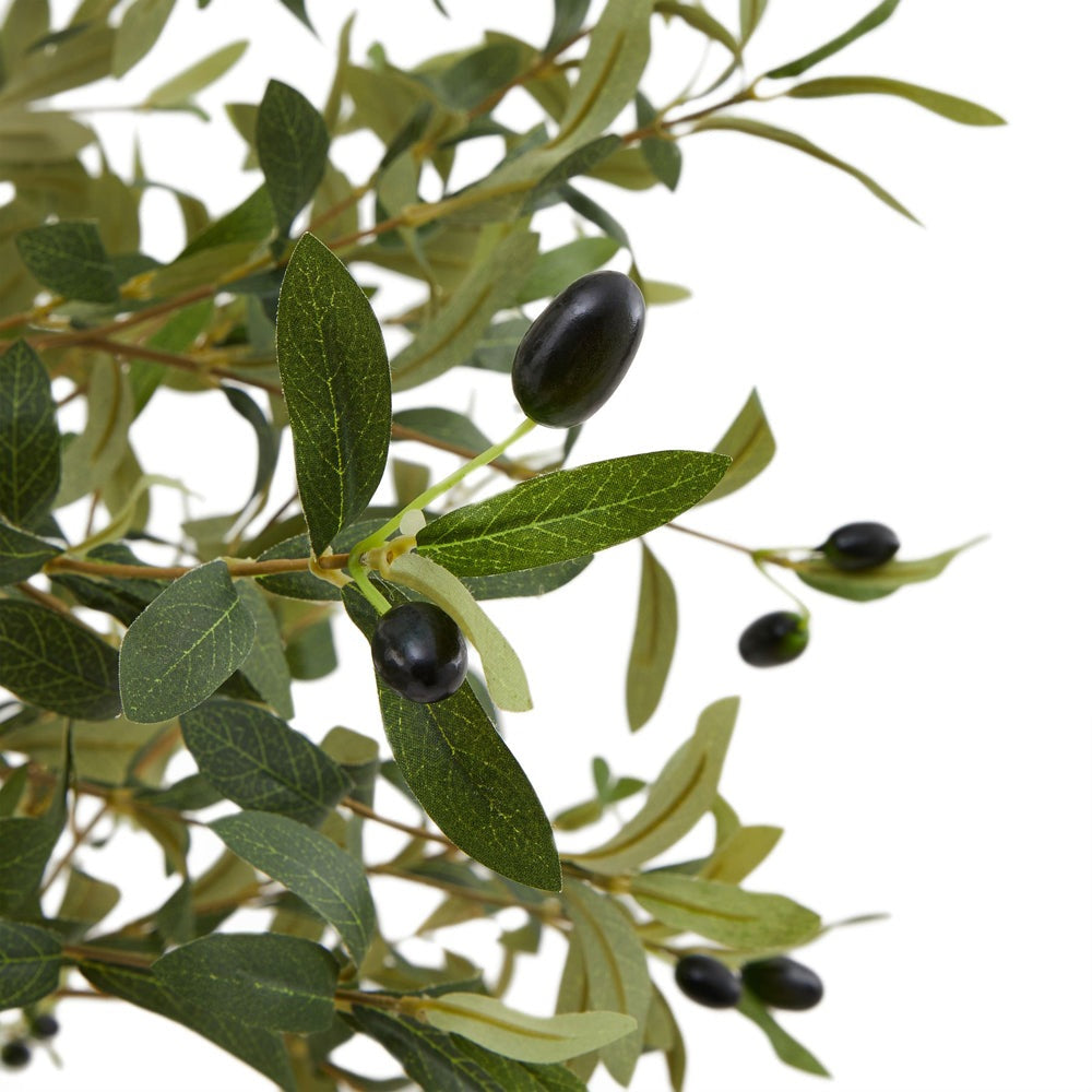Product photograph of Hill Interiors Calabria Olive Tree from Olivia's.