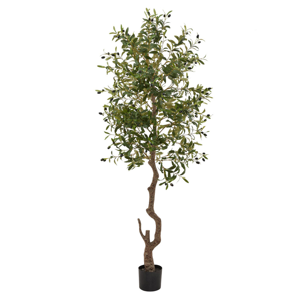 Product photograph of Hill Interiors Calabria Large Olive Tree from Olivia's