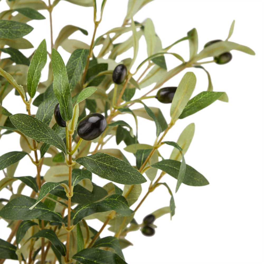 Product photograph of Hill Interiors Calabria Large Olive Tree from Olivia's.