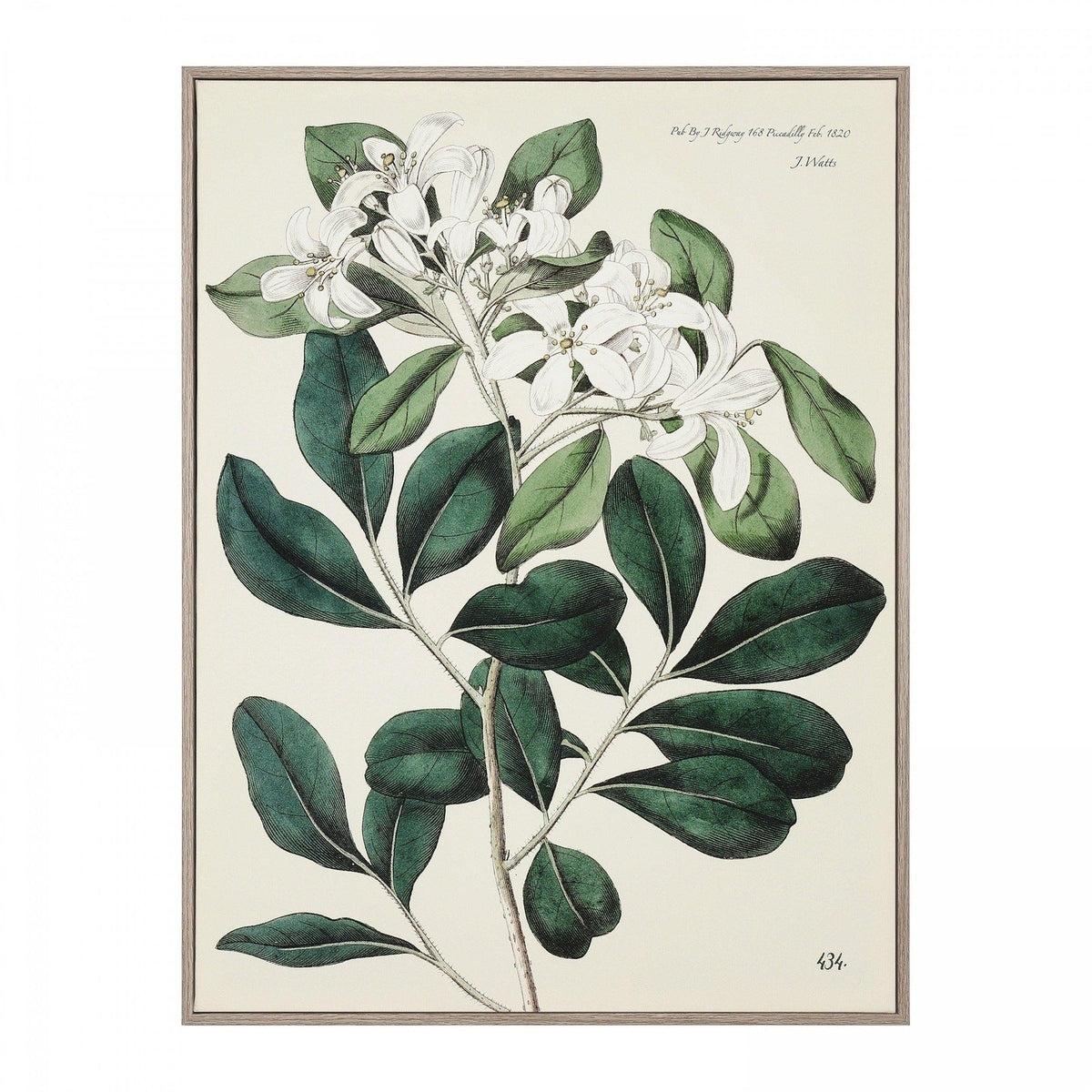 Gallery Interiors 'Foliage and Blooms' Framed Wall Art - 62.5 x 82.5cm