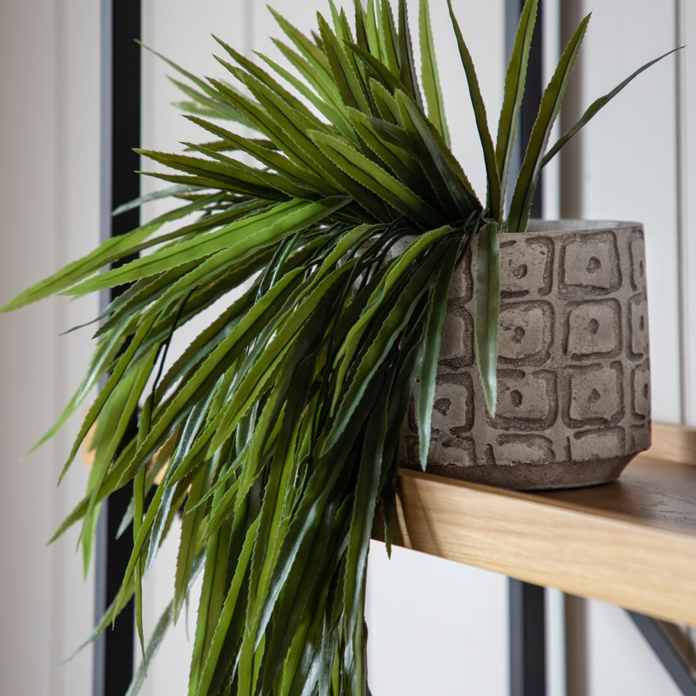 Product photograph of Gallery Interiors Mabelle Rhipsalis Faux Plant Outlet from Olivia's.