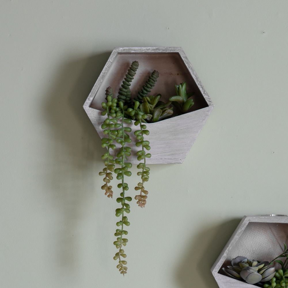 Gallery Interiors Doyle Wall Planter With Sedum Succulent Mix Cream And Green Outlet