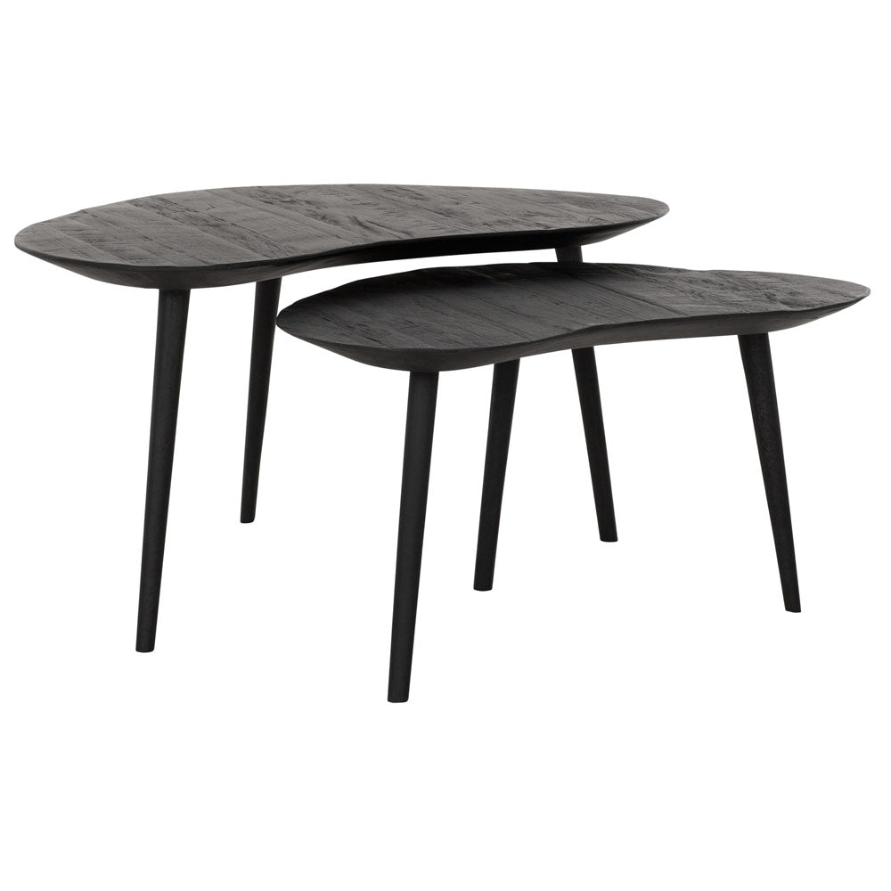 Product photograph of Dtp Interiors Organus Set Of 2 Coffee Tables In Recycled Black Teakwood from Olivia's