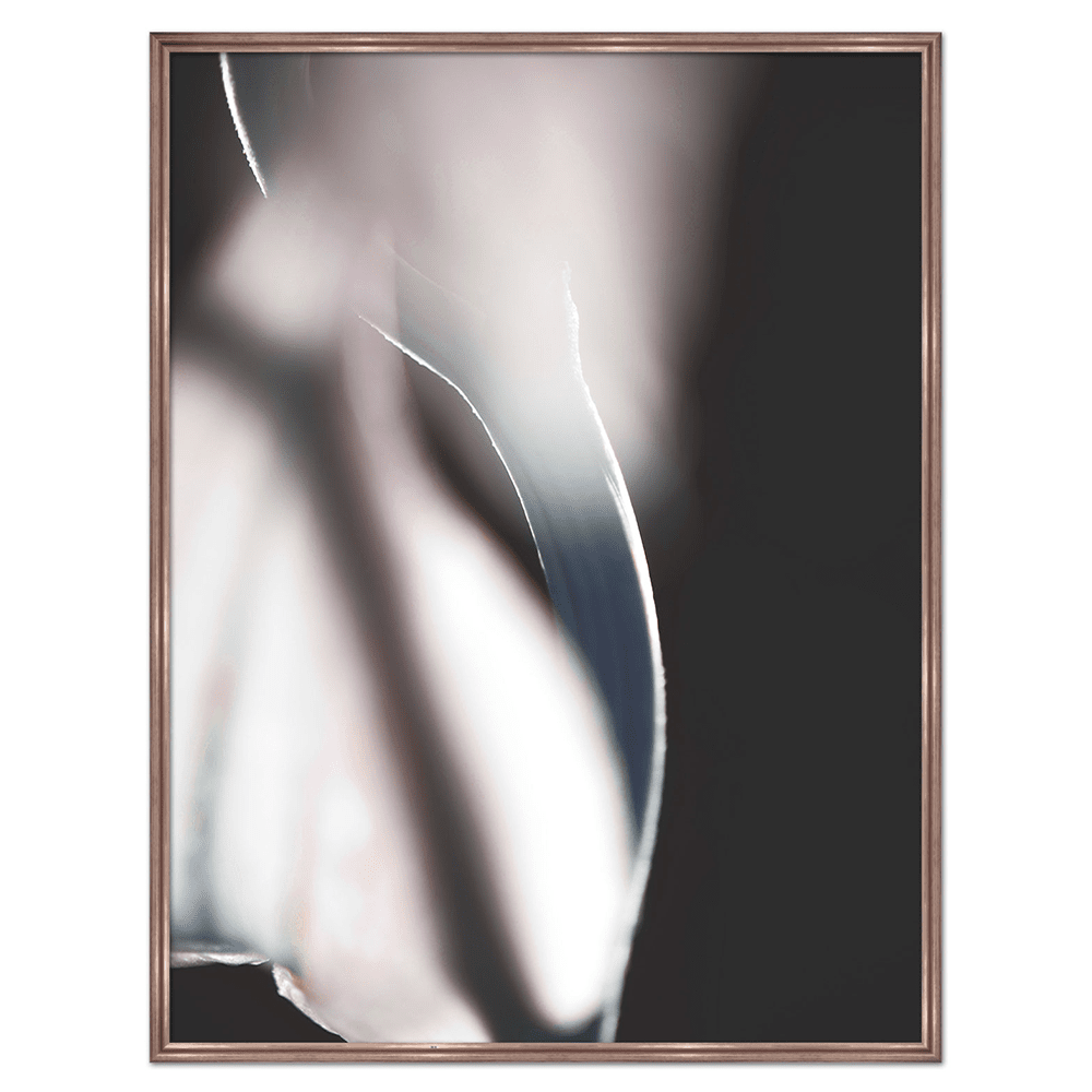 Product photograph of Quintessa Art Buron Under Glass Print 100 X 80cm from Olivia's