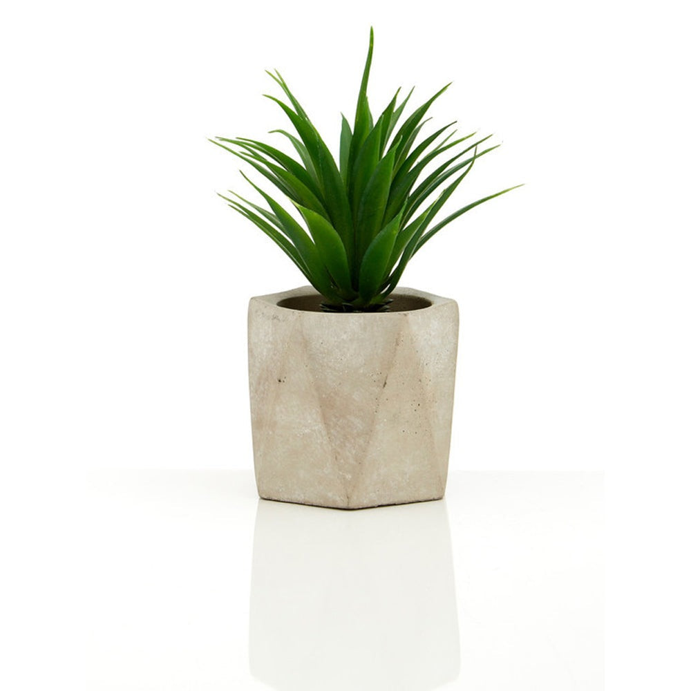 Product photograph of Olivia S Freda Planter Succulent Set Of 3 In Geo Cement Pots from Olivia's