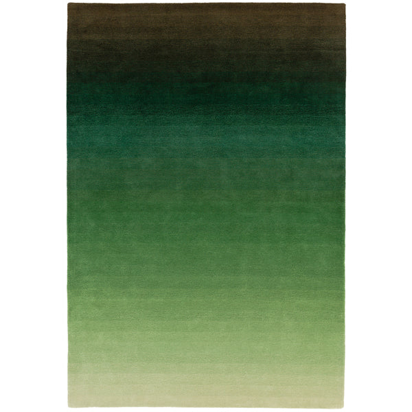 Asiatic Carpets Ombre Hand Tufted Rug Green 160 X 230cm