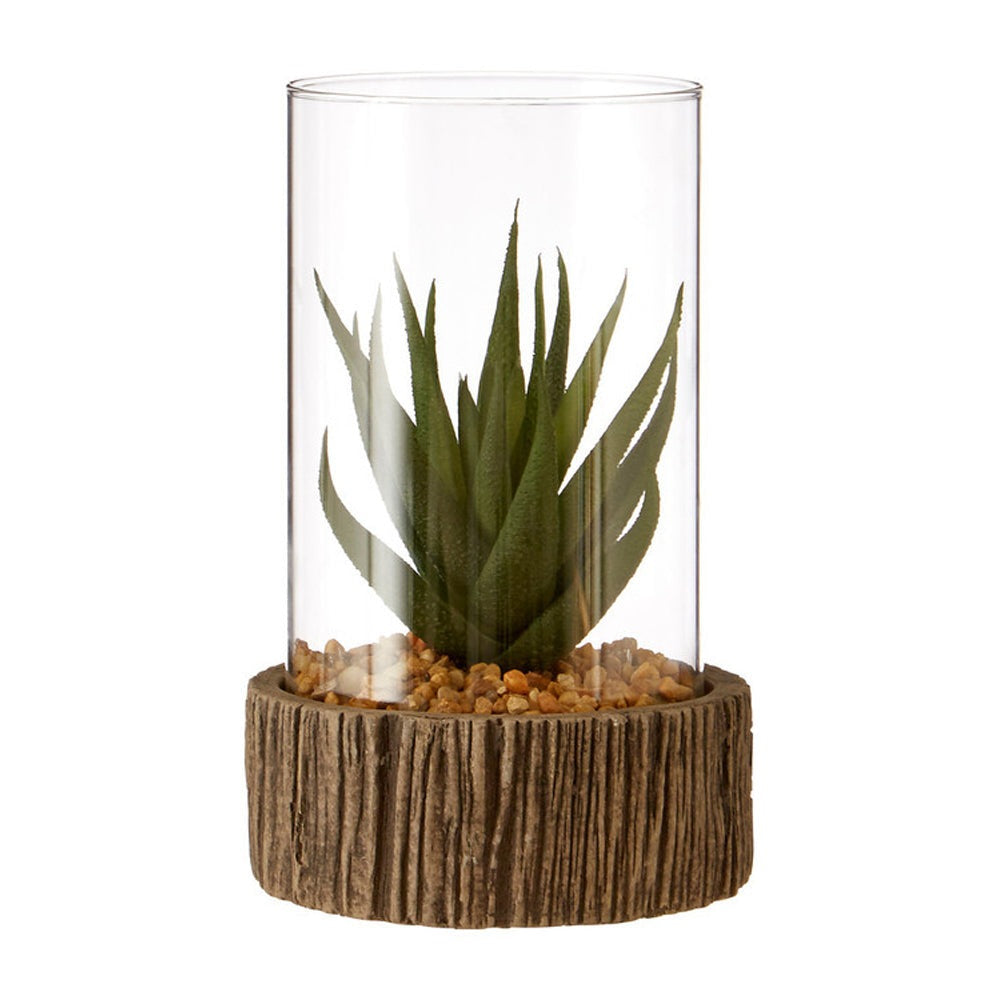 Product photograph of Olivia S Small Succulent With Natural Stone Base from Olivia's