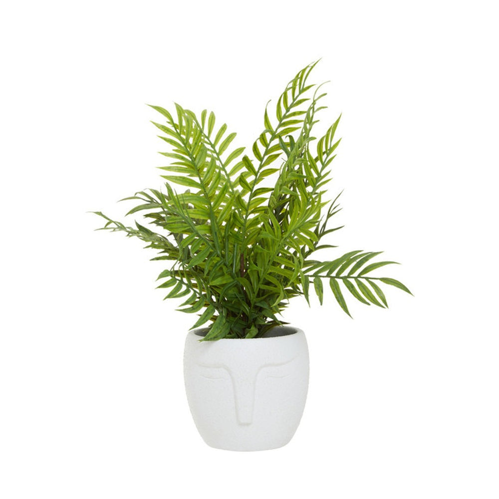 Product photograph of Olivia S Fern In Ceramic Face Pot from Olivia's