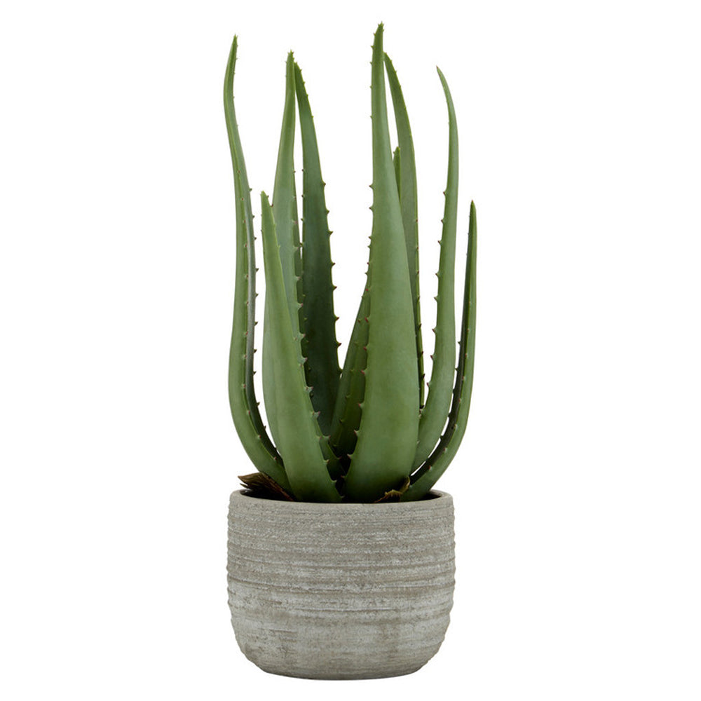 Product photograph of Olivia S Large Faux Aloe Vera With Cement Pot from Olivia's
