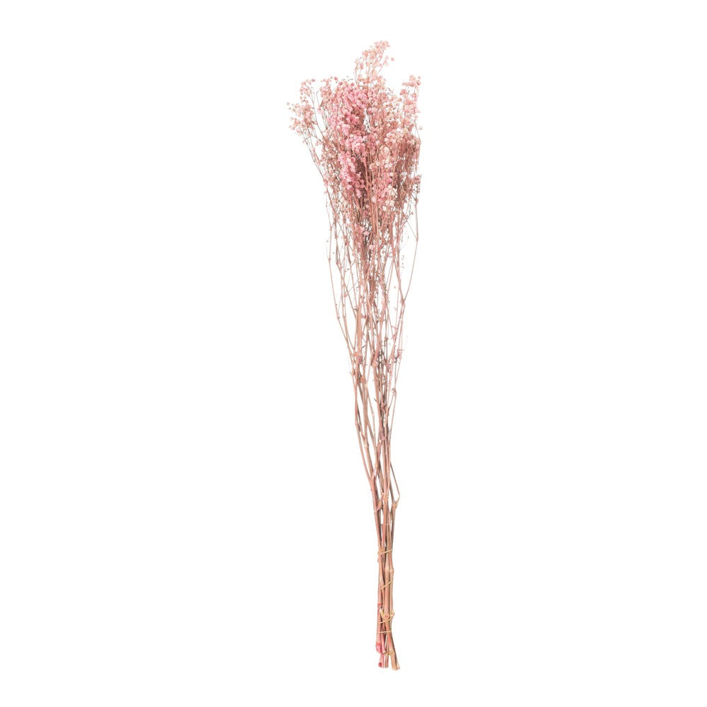 Product photograph of Hill Dried Babys Breath Bunch In Pale Pink from Olivia's.