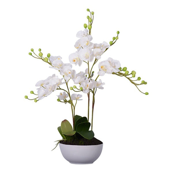 Product photograph of Olivia S Faux Orchid White from Olivia's.