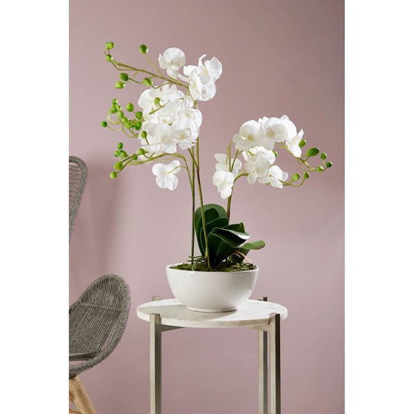 Product photograph of Olivia S Faux Orchid White from Olivia's.