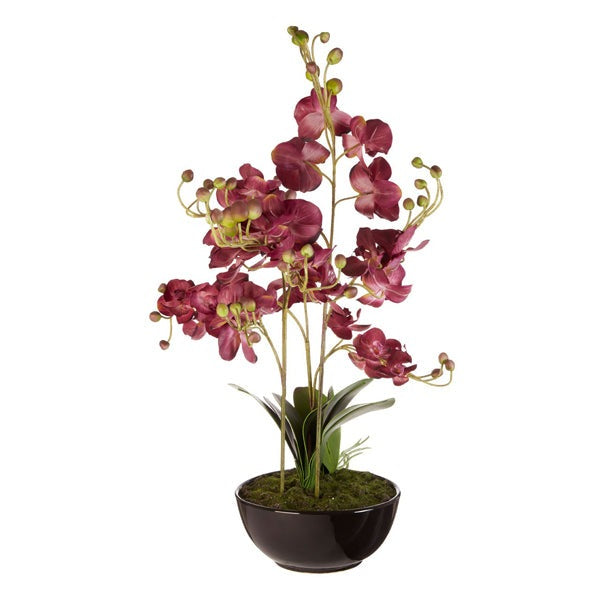 Product photograph of Olivia S Faux Orchid Purple from Olivia's.