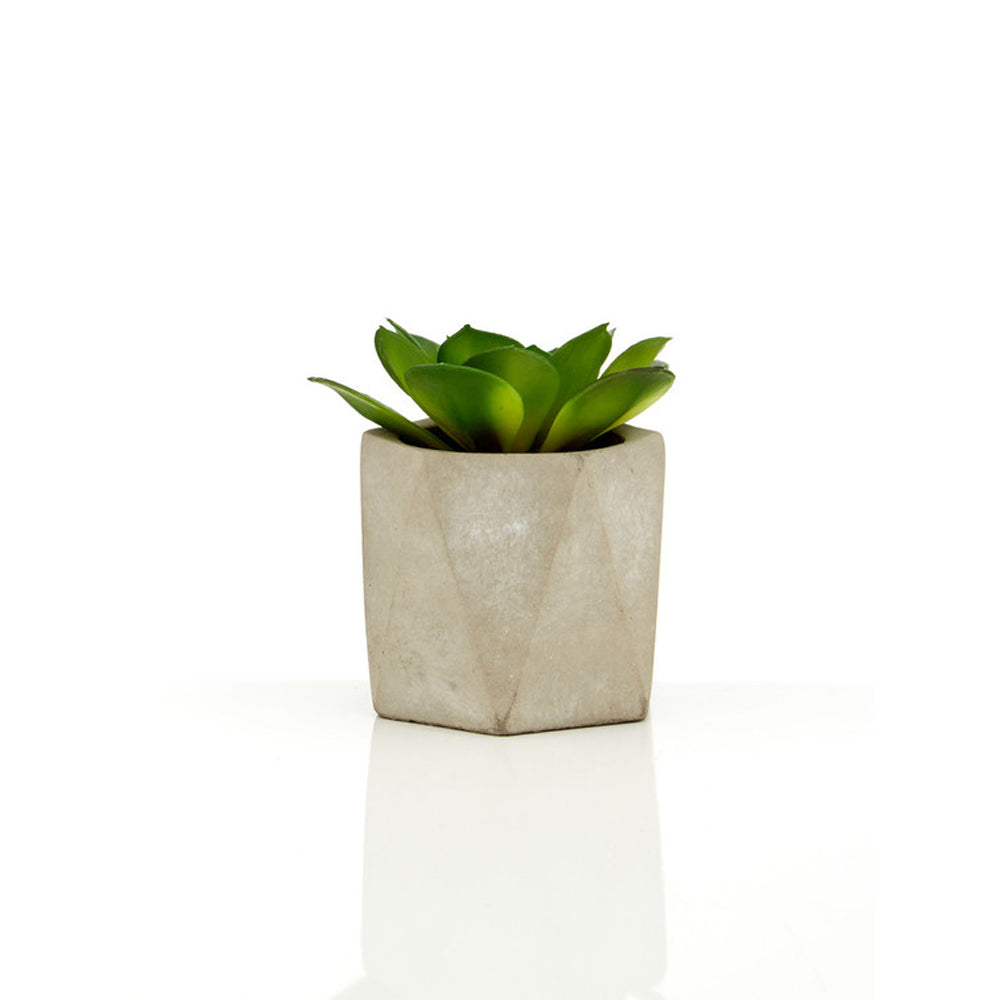 Product photograph of Olivia S Freda Planter Succulent Set Of 3 In Geo Cement Pots from Olivia's.